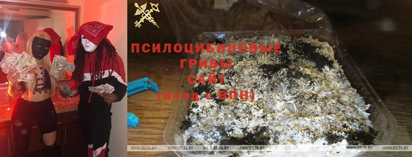 сатива Абаза